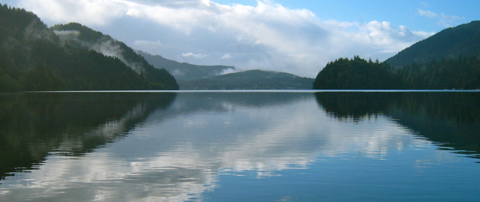 Reflection